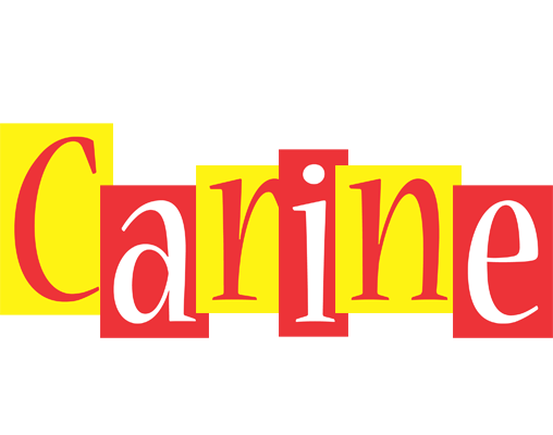 Carine errors logo