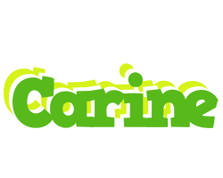 Carine picnic logo