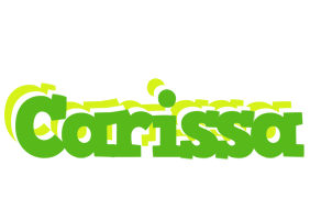 Carissa picnic logo