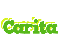 Carita picnic logo