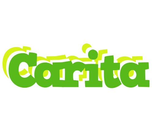 Carita picnic logo
