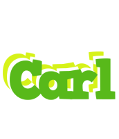 Carl picnic logo