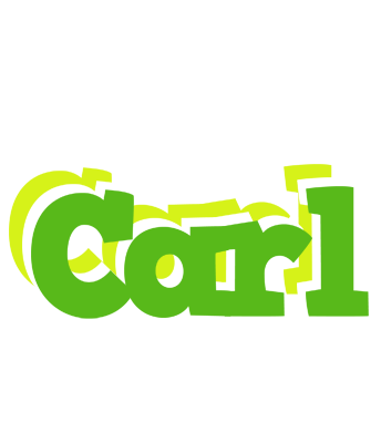 Carl picnic logo