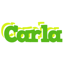 Carla picnic logo