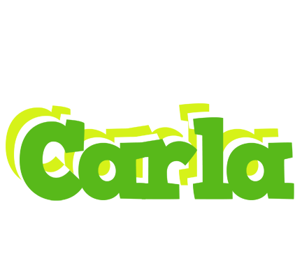 Carla picnic logo