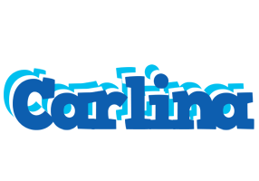 Carlina business logo