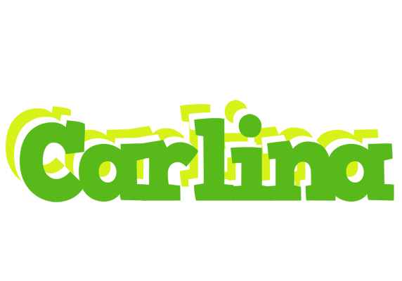 Carlina picnic logo