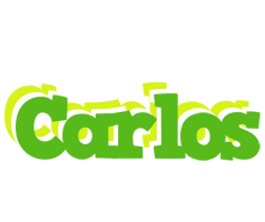 Carlos picnic logo