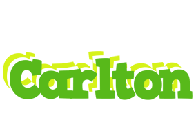 Carlton picnic logo