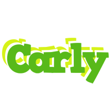 Carly picnic logo