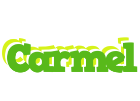 Carmel picnic logo