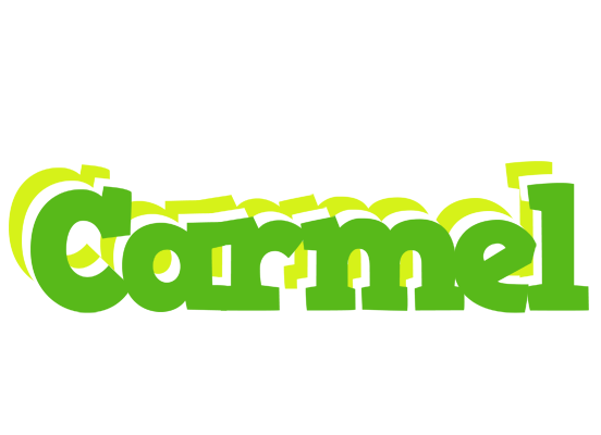 Carmel picnic logo