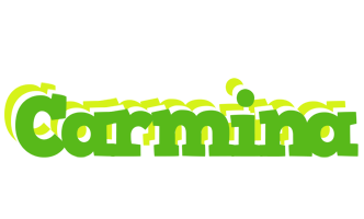 Carmina picnic logo