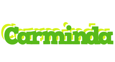 Carminda picnic logo