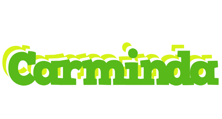 Carminda picnic logo