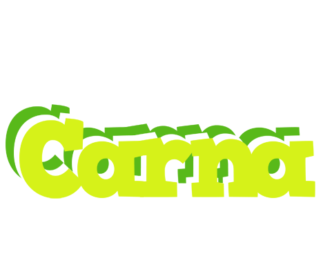 Carna citrus logo