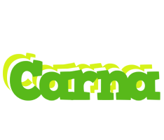 Carna picnic logo