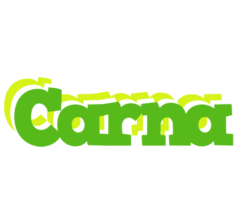 Carna picnic logo