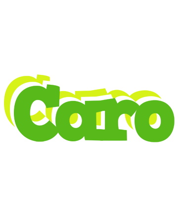 Caro picnic logo