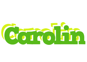 Carolin picnic logo