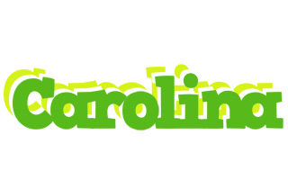 Carolina picnic logo