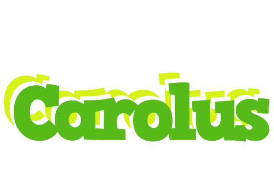 Carolus picnic logo