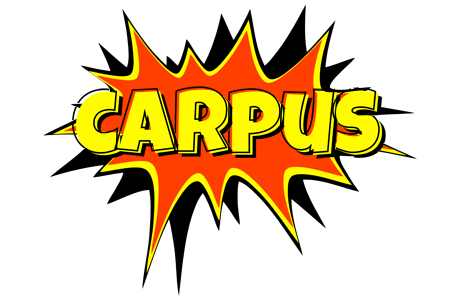 Carpus bazinga logo