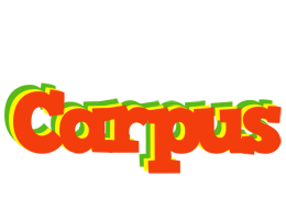 Carpus bbq logo