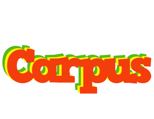 Carpus bbq logo