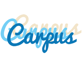 Carpus breeze logo