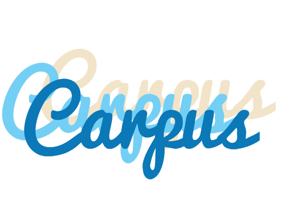 Carpus breeze logo