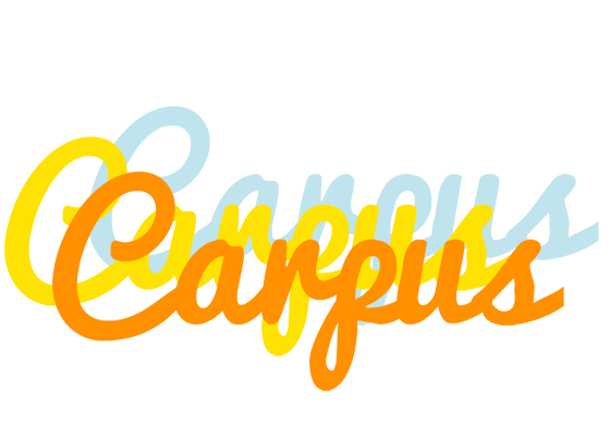 Carpus energy logo