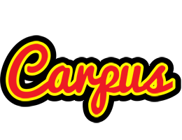 Carpus fireman logo