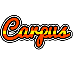 Carpus madrid logo