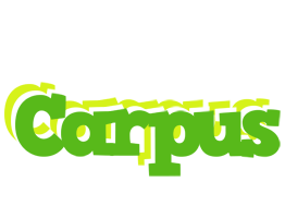 Carpus picnic logo