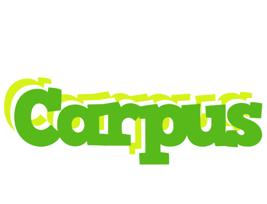 Carpus picnic logo