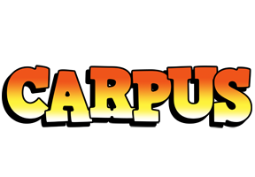 Carpus sunset logo