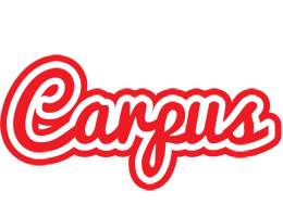 Carpus sunshine logo