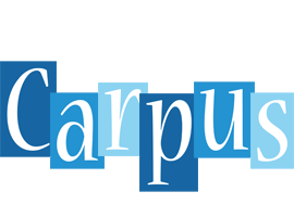 Carpus winter logo