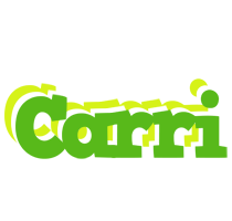 Carri picnic logo