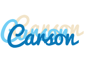 Carson breeze logo