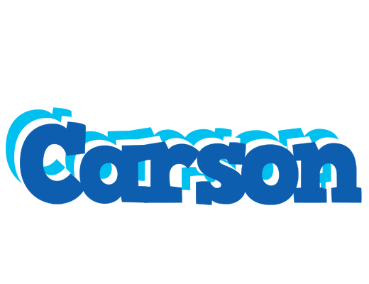 Carson business logo