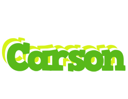 Carson picnic logo