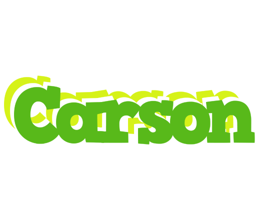 Carson picnic logo