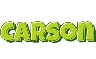 Carson summer logo