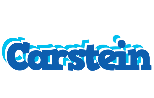 Carstein business logo