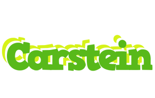 Carstein picnic logo