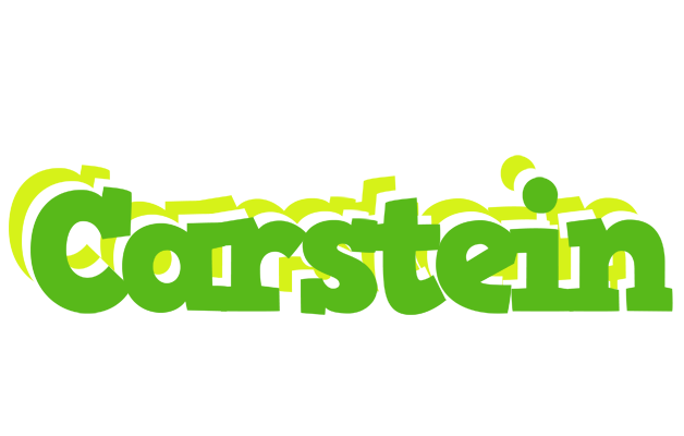 Carstein picnic logo