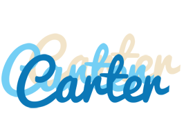 Carter breeze logo