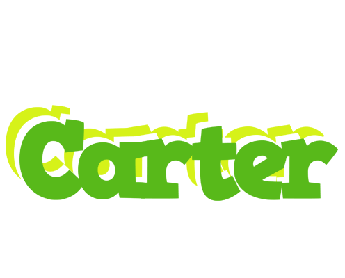 Carter picnic logo